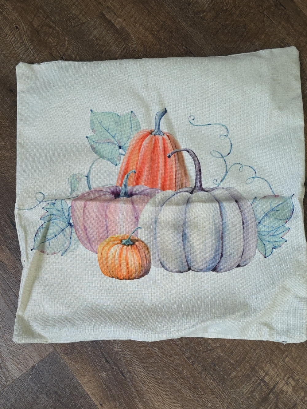 Watercolor Pumpkin Decorative Pillow Cover 17x17 Hidden Zipper